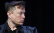 Elon Musk chửi thề khi nói về việc các nhà máy Tesla phải đóng cửa vì Covid-19