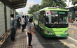 Tp.HCM đề xuất tăng trợ giá xe buýt lên hơn 1.300 tỉ đồng