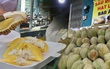 Sầu riêng 