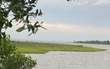 Biến tướng farmstay