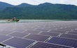 Hé lộ lợi nhuận khủng của các dự án điện mặt trời, lời giải đáp cho cuộc chạy đua của các nhà đầu tư nội - ngoại