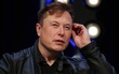  Elon Musk bị nhân viên tố tạo ra môi trường làm việc độc hại, tiếp tay cho nạn quấy rối tình dục, không có sự đồng cảm giữa người với người