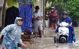 Mưa lớn như trút, nhiều tỉnh miền Bắc thiệt hại nặng