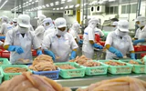 Biến bùn thải từ chế biến cá tra thành phân bón hữu cơ