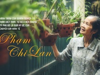Doanh nghiệp tư nhân Việt Nam: Từ số 0 đến những tỷ phú đô la qua ký ức của chuyên gia Phạm Chi Lan Doanh nghiệp tư nhân Việt Nam: Từ số 0 đến những tỷ phú đô la qua ký ức của chuyên gia Phạm Chi Lan