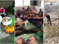 Rất nhiều thực phẩm mà chúng ta ăn hàng ngày được "phù phép" tại những công xưởng kinh hoàng như thế này Rất nhiều thực phẩm mà chúng ta ăn hàng ngày được "phù phép" tại những công xưởng kinh hoàng như thế này