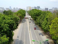 Hà Nội bắt đầu chặt, chuyển hơn 1.000 cây ở đường Phạm Văn Đồng Hà Nội bắt đầu chặt, chuyển hơn 1.000 cây ở đường Phạm Văn Đồng