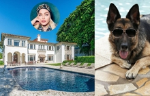 Ngắm dinh thự đẳng cấp 32 triệu USD của diva Madonna: Ngỡ ngàng chủ sở hữu thật sự lại là một chú chó!