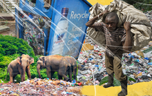 Tây Phi ‘chìm’ trong nhựa