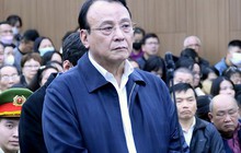 Chủ tịch Tân Hoàng Minh Đỗ Anh Dũng bị đề nghị từ 9-10 năm tù