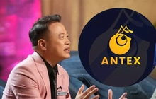 Vụ Shark Bình: AntEx là gì, vì sao nhiều người 'mù quáng' dùng tiền thật mua tiền ảo?