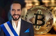 Đi ngược tâm lý sợ hãi của toàn thị trường, Tổng thống El Salvador vừa ‘khoe’ bắt đáy thành công 1.098 Bitcoin