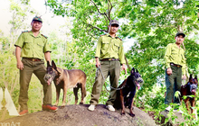 Bí mật trong cánh rừng nguyên sinh hiếm hoi của Việt Nam