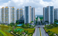 "Cắt cơn sốt" chung cư, nhà thấp tầng âm thầm tăng tốc với giá sơ cấp chạm mốc 226 triệu đồng/m2