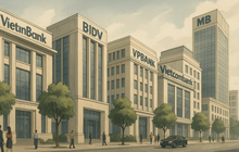 Trước khi trích lập dự phòng, ngân hàng nào lãi nhất? Nhà băng top 1 bỏ xa phần còn lại, Vietcombank tăng một hạng nhưng chỉ đứng thứ 4