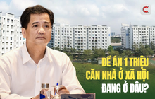 TS Nguyễn Văn Đính: Xây nhà ở xã hội không chỉ trông chờ vào nỗ lực của một vài doanh nghiệp