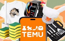 Khủng hoảng bên trong Temu: Lỗ suốt giai đoạn tăng trưởng, mô hình 'bao trọn gói' với giá siêu rẻ đang giết chết dòng tiền