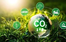 70% lượng phát thải CO2 toàn cầu đến từ đô thị: Đâu là giải pháp để giảm phát thải?