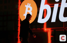 'Cú lừa' Bitcoin mang tên Strategy: Từng tích lượng Bitcoin vượt lượng vàng Mỹ cất trữ, nay có thể phải bán hết để trả 21 tỷ USD nợ, cổ phiếu rơi 70%
