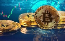 Đề xuất nguyên tắc kế toán cho từng nhóm chủ thể tham gia tài sản mã hóa