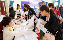 Cục thuế ra thông tư mới: Doanh thu hộ kinh doanh không còn “ước lượng, tự khai”