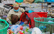 Muốn DN đóng thuế thay bà đồng nát: 'Khó thực hiện, không công bằng'?
