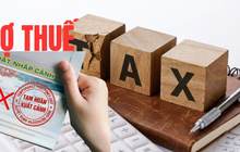 Vì sao Bộ Tài chính đề xuất nợ thuế từ 1 triệu đồng sẽ bị tạm hoãn xuất cảnh?