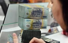 Đột ngột làm sếp ở 4 công ty, bị tạm hoãn xuất cảnh vì dính nợ thuế
