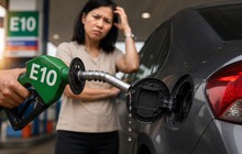 Xăng E10 có làm xe hao nhiên liệu hơn?