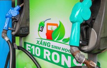 Giá xăng dầu đồng loạt giảm, xăng E10 hạ kỉ lục