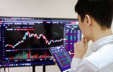 Thuế cổ tức: Vì sao cá nhân nộp 5%, doanh nghiệp được miễn?