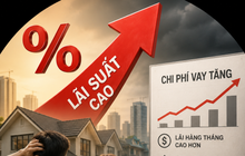 CEO Avison Young: Lãi suất không phải yếu tố quyết định dòng vốn ngoại