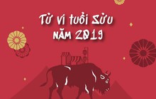 Chi tiết tử vi tuổi Sửu năm 2019: Tiền chảy vào túi ầm ầm nhưng cũng ra đi như vũ bão; bình tĩnh, kiên trì gặt quả ngọt