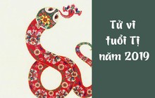 Chi tiết tử vi tuổi Tị năm 2019: Biến động dồn dập, nên ẩn mình chờ thời, mưu sự đường dài chớ nên nóng vội