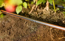 Việt Nam áp dụng thành công "phát minh thế kỷ" của Israel