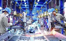 Hơn 54.000 doanh nghiệp gia nhập và tái gia nhập thị trường tháng 1