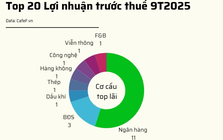 20 doanh nghiệp niêm yết lãi lớn nhất 9T2025: Có 10 cái tên lãi trên 15.000 tỷ gồm 7 ngân hàng và 3 công ty BĐS