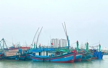 Khánh Hòa cấm tàu thuyền, khẩn cấp điều tiết hồ chứa đối phó bão Kalmaegi
