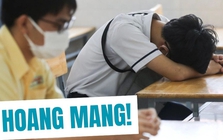 Con đạt giải quốc gia, nhưng người mẹ TP.HCM hoang mang tột độ, thấy "bất lực và thương con quá": Lý do là gì?