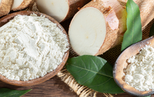 Một loại củ tỷ USD của Việt Nam đang được nước giàu thứ 2 châu Á săn lùng: Xuất khẩu tăng 1.265% trong tháng qua