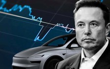 Mặc lời kêu gọi ‘giữ chặt cổ phiếu’ của Elon Musk, một lãnh đạo cấp cao Tesla vẫn bán không ngớt tay, thu lời gần 200 triệu USD