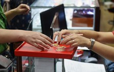 Thủ tướng chỉ đạo khẩn trương ban hành kết luận thanh tra doanh nghiệp kinh doanh vàng