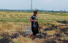 Đốt rơm rạ, một nông dân nhận cái kết "đắng" vì bỏ chạy