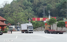 Tuyến vận tải đường bộ quốc tế Trung Quốc - Việt Nam chính thức khai trương