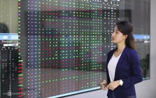 Thị trường chứng khoán: Hơn 2.700 quyết định xử phạt, nhiều vụ việc nghiêm trọng chuyển điều tra