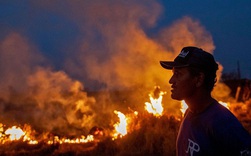 Rừng Amazon vẫn đang cháy ngày một mạnh hơn: 1.202 km2 rừng bị xóa sổ trong 4 tháng, ngang bằng diện tích một quốc gia