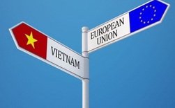 Những thách thức hiệp định EVFTA có thể mang lại cho Việt Nam
