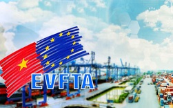 Hôm nay (1/8), EVFTA chính thức có hiệu lực, cao tốc đã mở, cơ hội lớn, thách thức nhiều