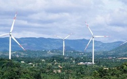 Tỉnh Kon Tum chấp thuận chủ trương đầu tư dự án nhà máy điện gió gần 1.900 tỷ đồng