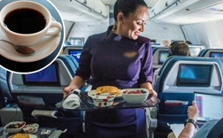 Trà và cà phê trên máy bay không “sạch” như chúng ta tưởng: Sự thật là gì?